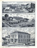 Wm. L. Barnes Stock Farm Residence, John Sears, Library Hall, Kewanee, Henry County 1875